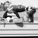 Dog Training: Le transport, un outil pédagogique