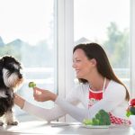 Les chiens peuvent-ils manger des légumes?