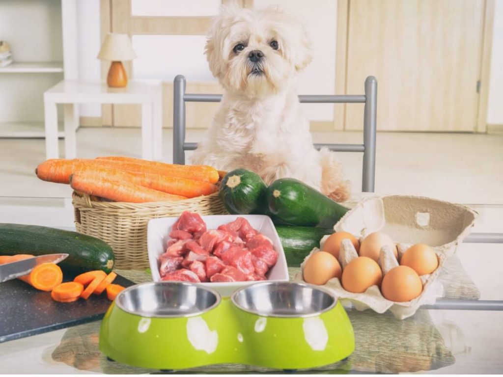 5 aliments sains pour chiens