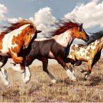 Cheval Mustang : origine et caractéristiques